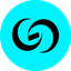 CaseGuard logo